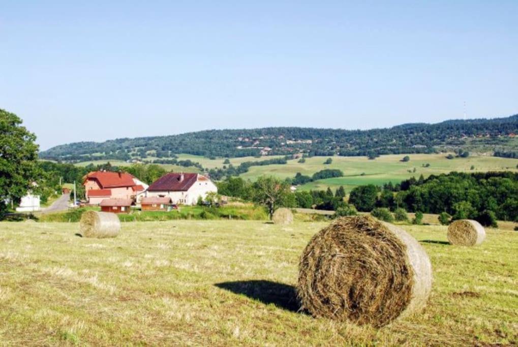 La Maison D'Elodie Foncine-le-Haut Eksteriør bilde